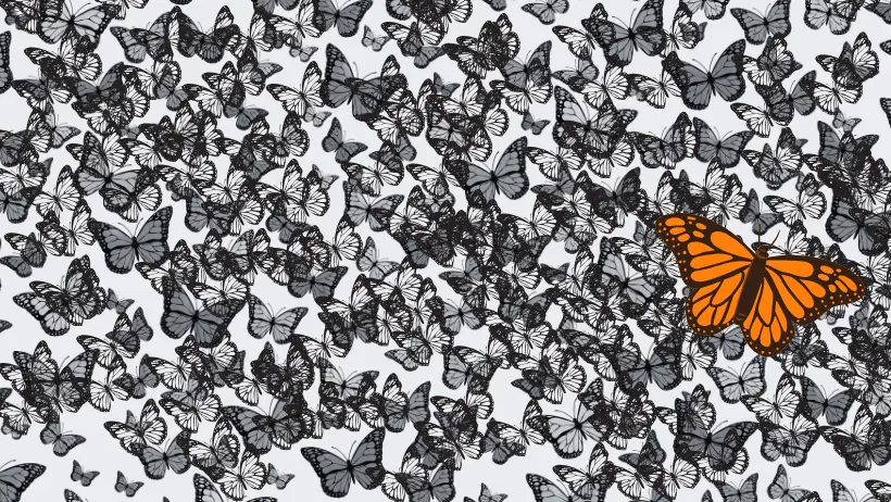 I’m not exceptional.